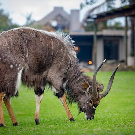 Belle Balance Bush Lodge Плеттенберг-Бей Экстерьер фото