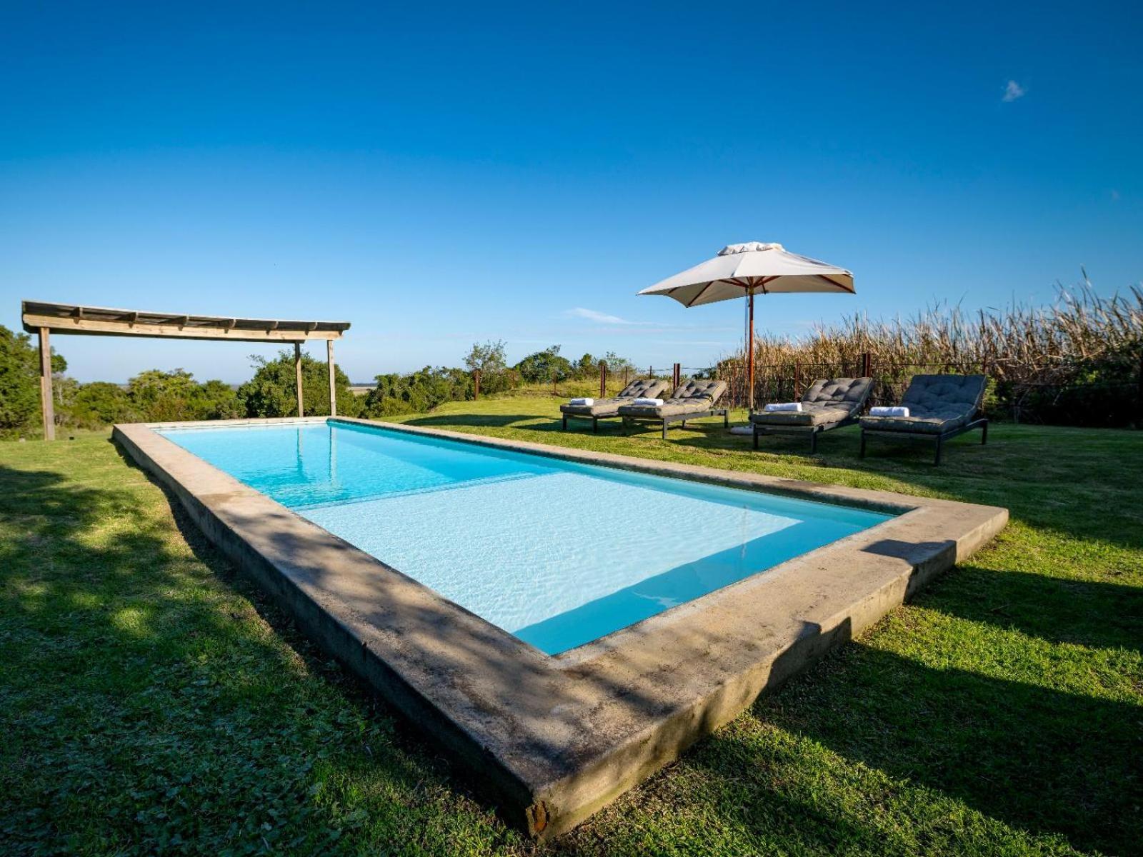 Belle Balance Bush Lodge Плеттенберг-Бей Экстерьер фото