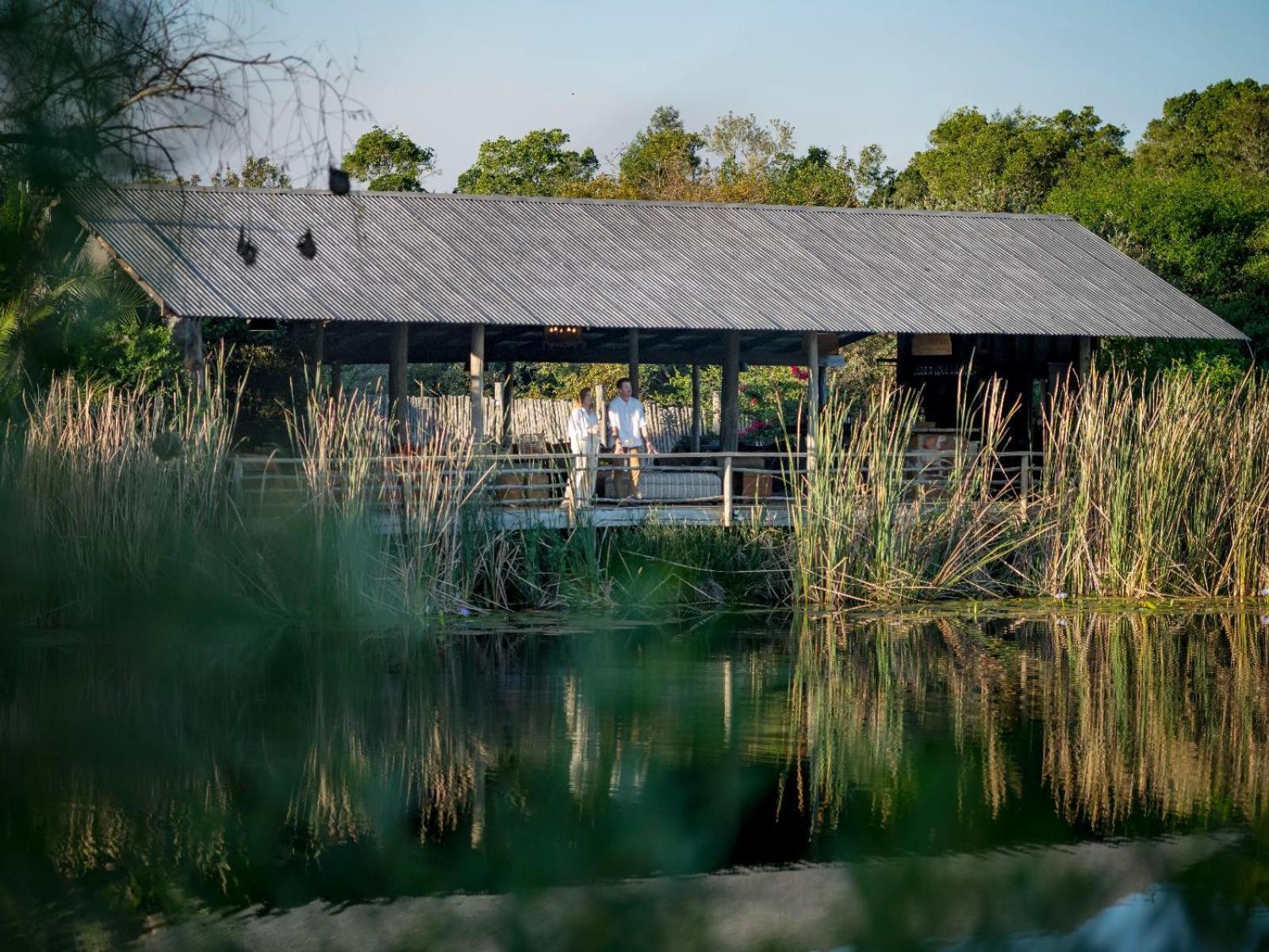 Belle Balance Bush Lodge Плеттенберг-Бей Экстерьер фото
